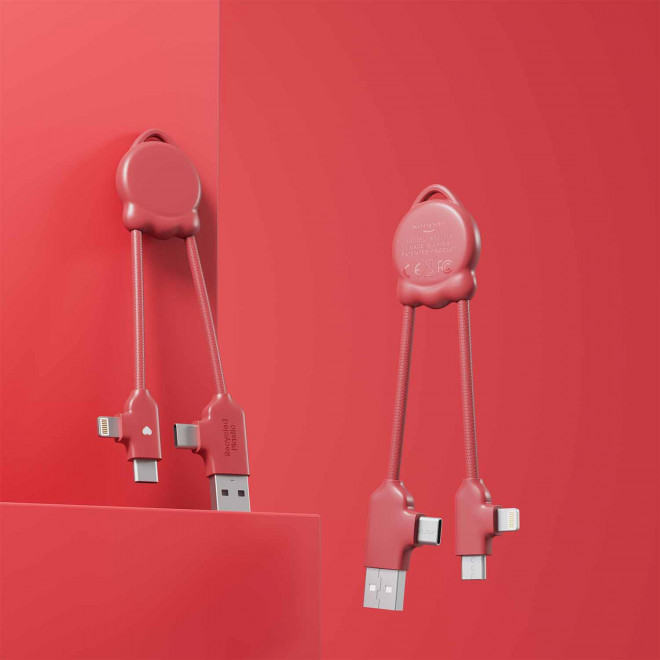 CABLE XOOPAR PERSONNALISABLE 'OCTOMINI' EXP 72H