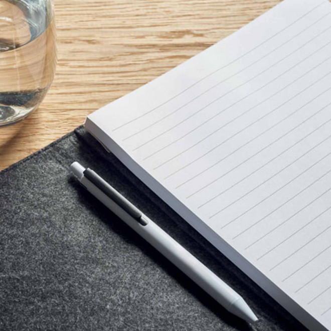 CONFERENCIER PERSONNALISE EN RPET 'AGATHE' 