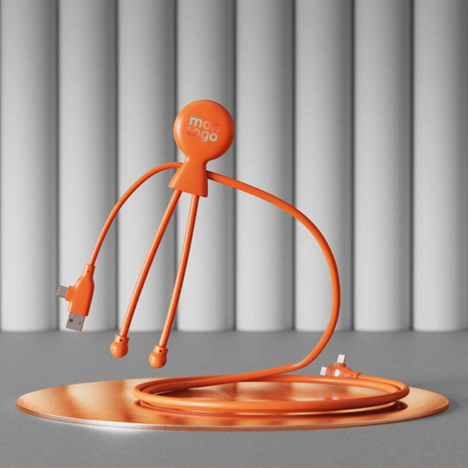CABLE DE CHARGE PERSONNALISABLE 'MR BIO LONG FAST 60W'