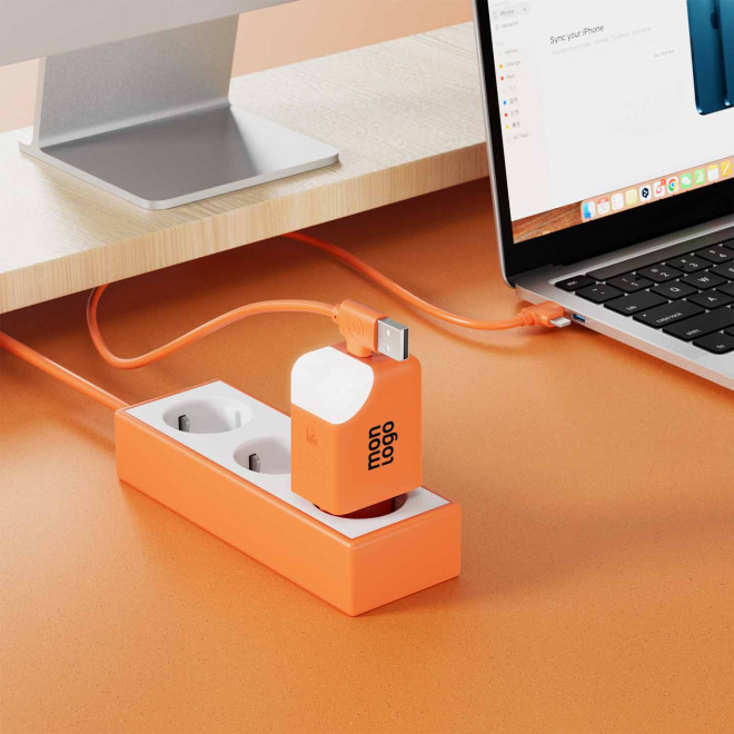 PRISE CHARGEUR SECTEUR 65W PERSONNALISABLE 'ICE P'