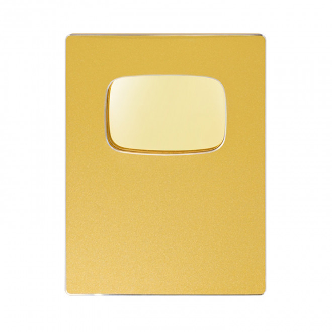 TROPHEE PLAQUE PERSONNALISABLE 'SKUIZY' - or
