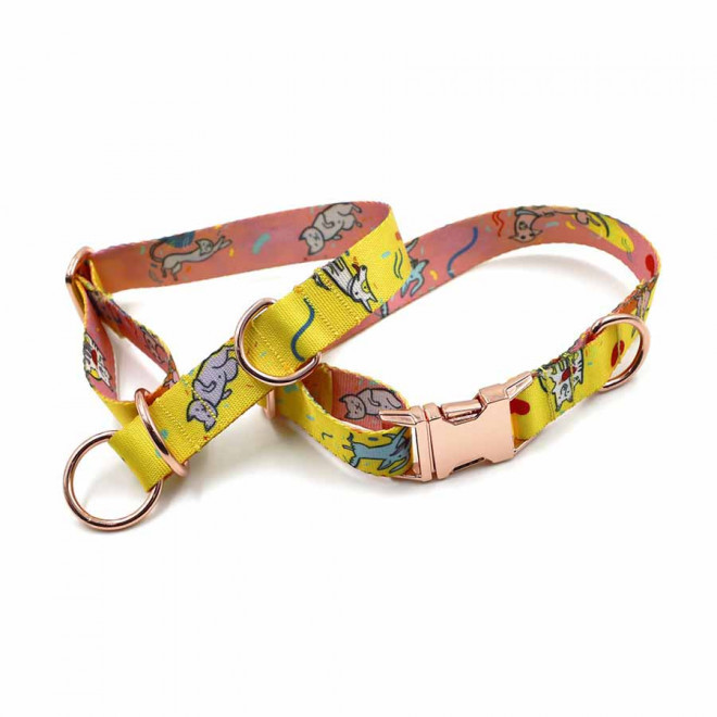 COLLIER PERSONNALISE POUR ANIMAUX 'HARLEY' - blanc