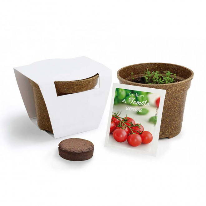 KIT PERSONNALISABLE DE PLANTATION JARDIN ECOLO 'ARROZY RRIZ' - tomate cerise