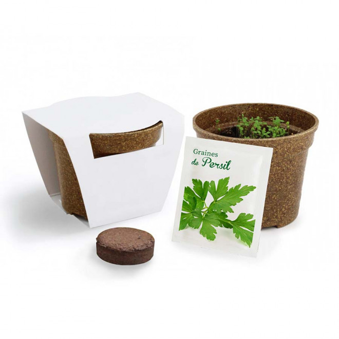 KIT PERSONNALISABLE DE PLANTATION JARDIN ECOLO 'ARROZY RRIZ' - persil