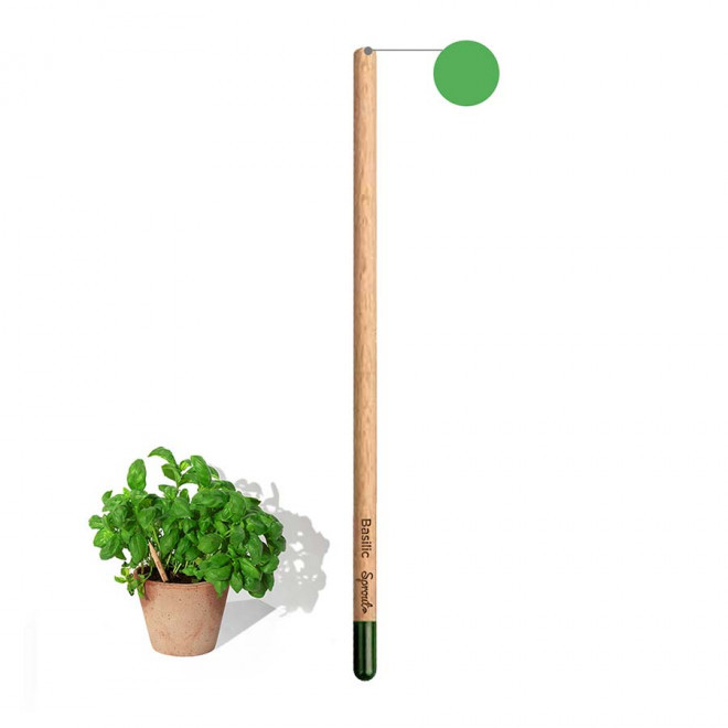 CRAYON COULEUR GRAINES PERSONNALISABLE 'POUSS COLOR' - basilic