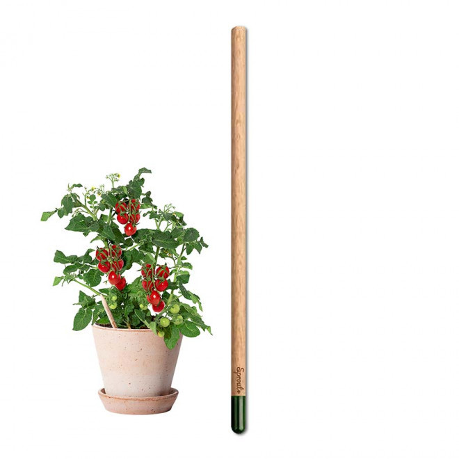 CRAYON GRAINES CARTONETTE PERSONNALISABLE 'POUSS'    - tomate cerise