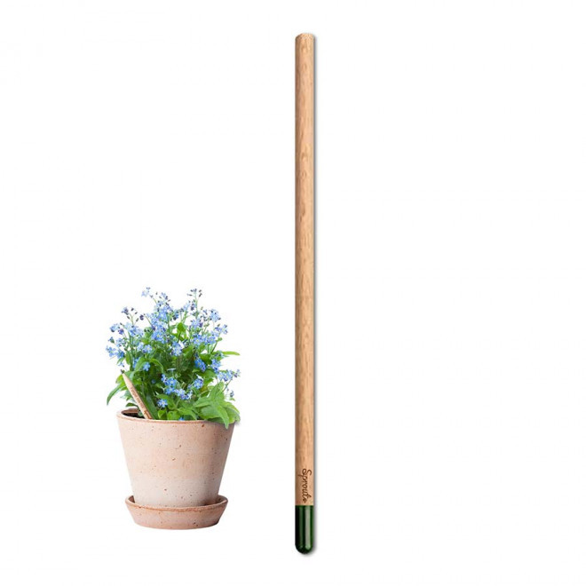 CRAYON GRAINES CARTONETTE PERSONNALISABLE 'POUSS'    - myosotis