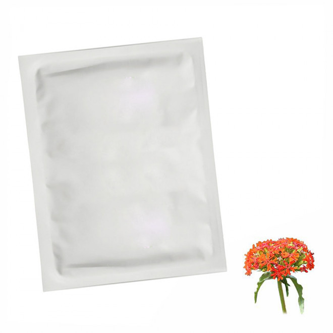 SACHET DE GRAINES PERSONNALISABLE EN QUADRI  'PLANTAI S' - croix de jérusalem