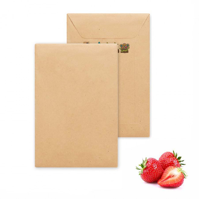 SACHET DE GRAINES PERSONNALISABLE 'FLAURE QUADRI' - fraise