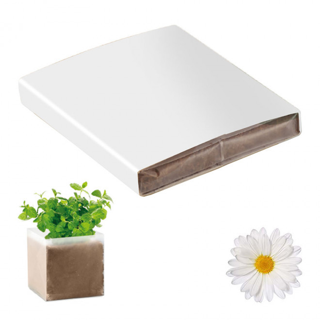 KIT PLANTATION PUBLICITAIRE SACHET PAPIER BLANC 'MUNDA QUADRI' - marguerite