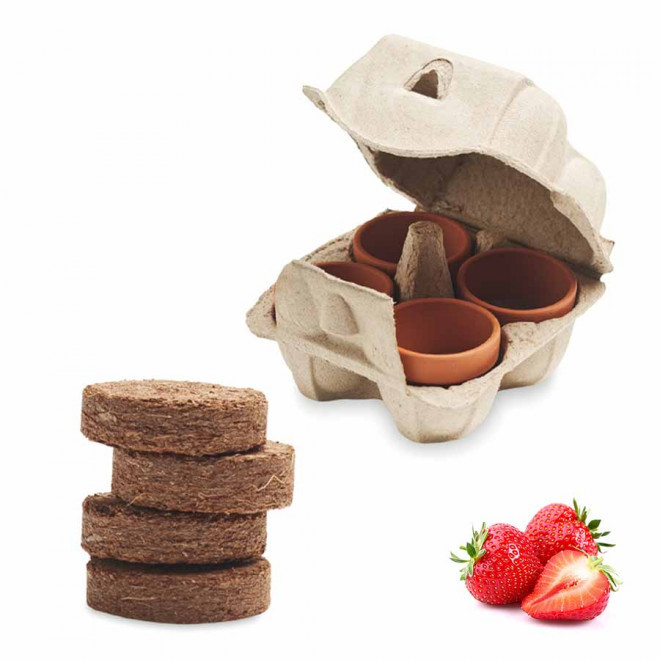 KIT DE PLANTATION PUBLICITAIRE PAPIER BLANC 'TERRI' - fraises