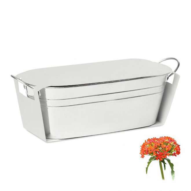 BAC A PLANTES PUBLICITAIRE 'BACAN BLANC' - croix de jérusalem