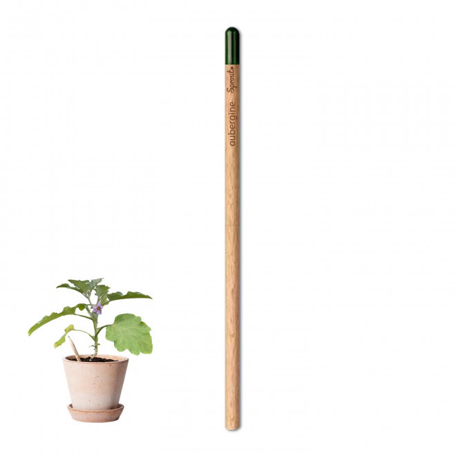 CRAYON PAPIER GRAINES PERSONNALISABLE 'POUSS' - aubergine