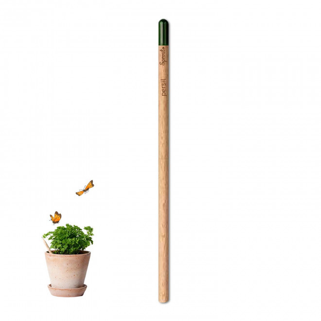 CRAYON PAPIER GRAINES PERSONNALISABLE 'POUSS' - persil