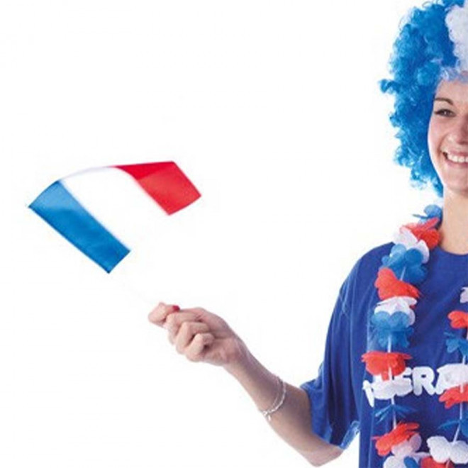 DRAPEAU FRANCE A AGITER 'DRAPAF' - bleu/blanc/rouge