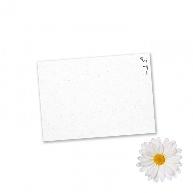 PAPIER ENSEMENCE MIE PERSONNALISE 'HORTUS' A6 - marguerite