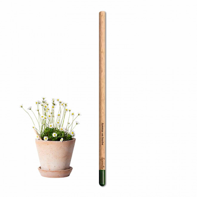 CRAYON GRAINES AVEC CARTONETTE PERSONNALISABLE 'POUSS HAPPY WORK'    - marguerite