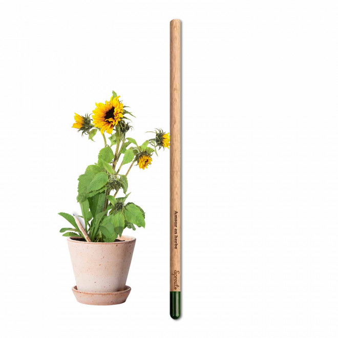 CRAYON GRAINES AVEC CARTONETTE PERSONNALISABLE 'POUSS HAPPY WORK'    - tournesol