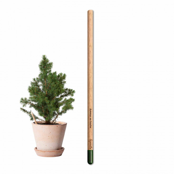 CRAYON GRAINES AVEC CARTONETTE PERSONNALISABLE 'POUSS HAPPY WORK'    - épicéa