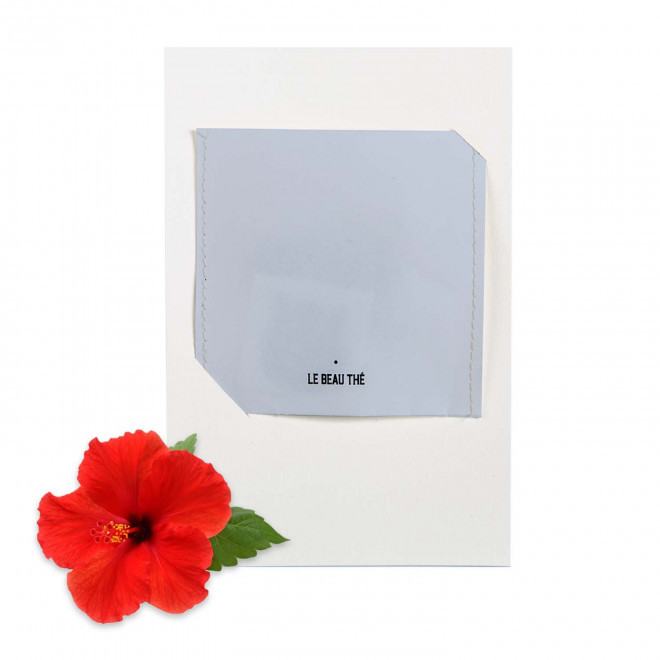 CARTE A INFUSER LE BEAU THE PERSONNALISABLE 'GIFTCARD' - bleu ciel