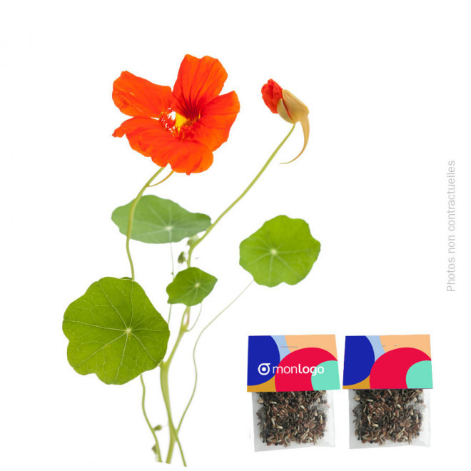 SACHET DE GRAINES PERSONNALISABLE 'SEEDY' - capucine