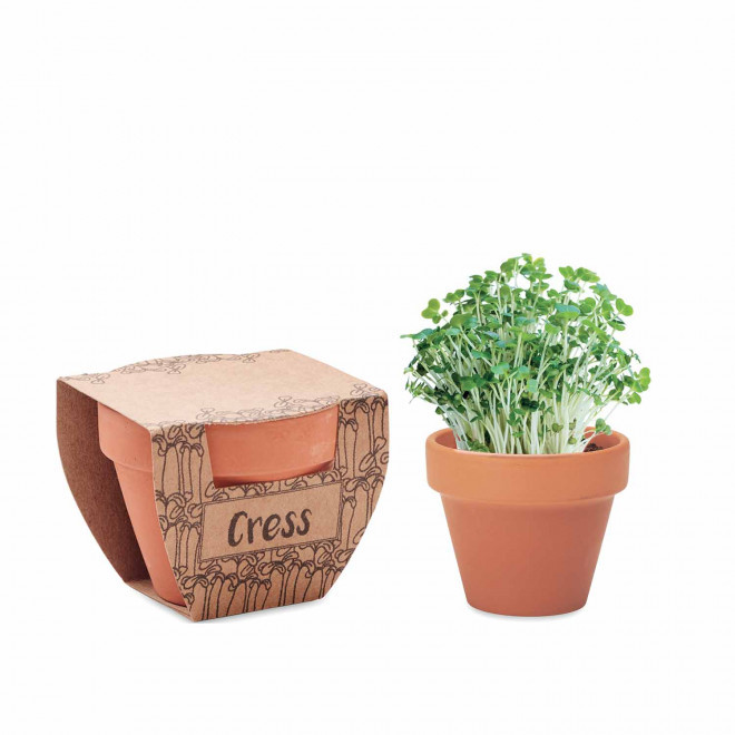 KIT DE PLANTATION PERSONNALISABLE 'POPPY' - cresson