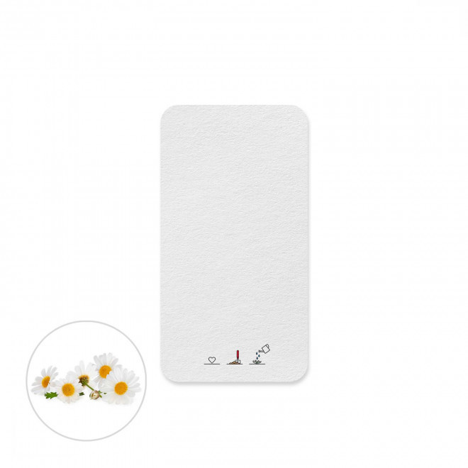 CARTE A PLANTER ENSEMENCEE PERSONNALISABLE 'HORTUS FORME' - marguerite