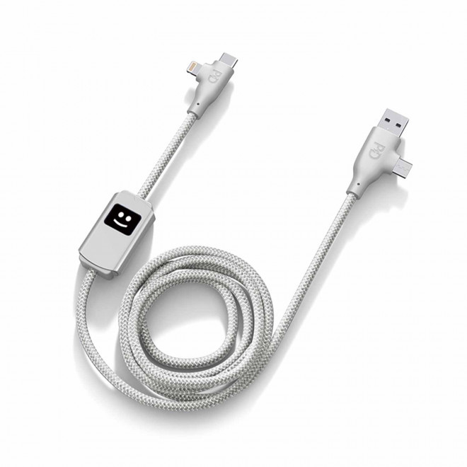 CABLE DE CHARGE 100W PERSONNALISABLE 'ALLURE' - argenté