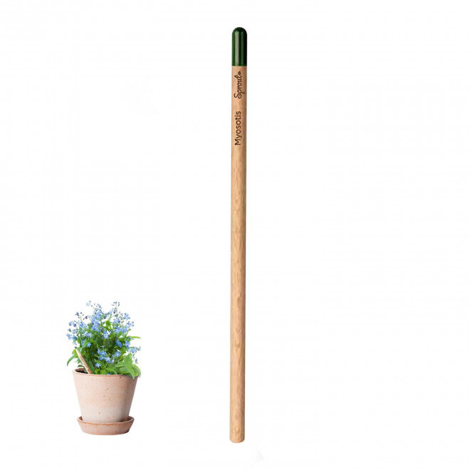 CRAYON PAPIER GRAINES PERSONNALISABLE 'POUSS' - myosotis