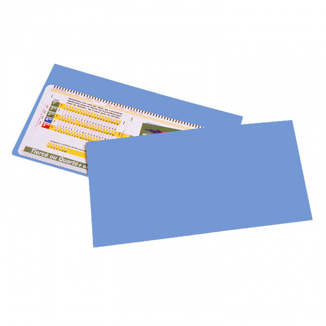 POCHETTE PERSONNALISABLE PMU 1 VOLET 'LUCKY LUCK' - bleu clair