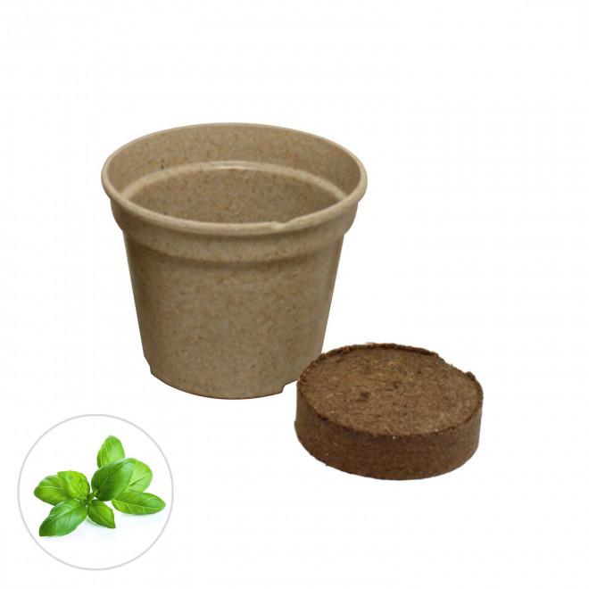 KIT PLANTATION PAILLE RIZ PERSONNALISABLE 'ARROSY COLOR' - beige