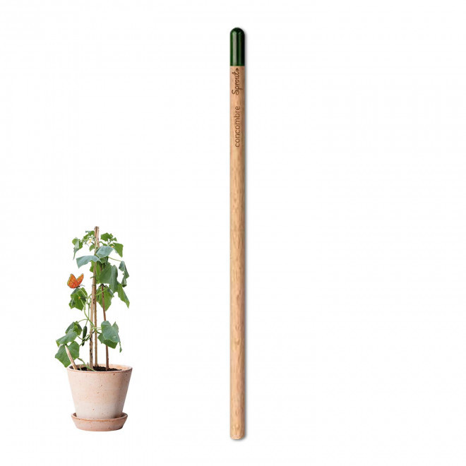 CRAYON PAPIER GRAINES PERSONNALISABLE 'POUSS' - concombre