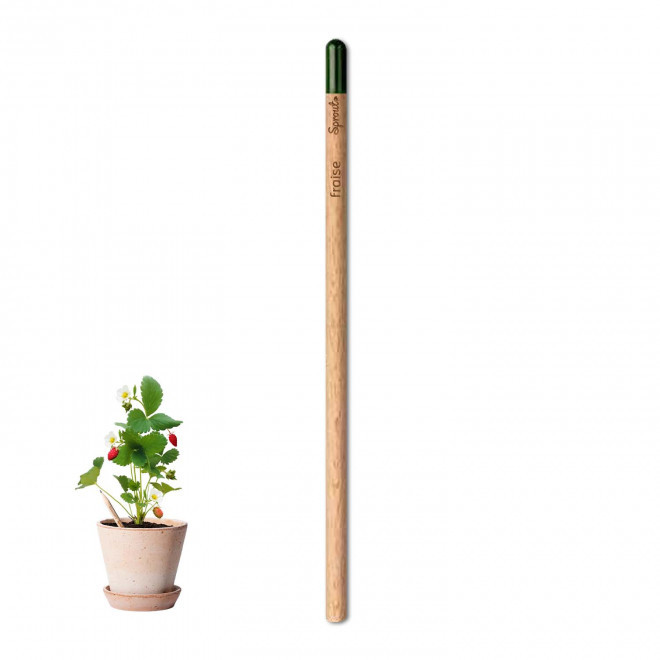 CRAYON PAPIER GRAINES PERSONNALISABLE 'POUSS' - fraise