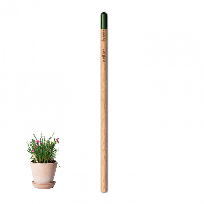 CRAYON PAPIER GRAINES PERSONNALISABLE 'POUSS' - oeillet