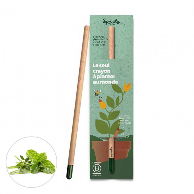 CRAYON GRAINES PERSONNALISÉ CARTONNETTE 'POUSS' - mélange aromatiques