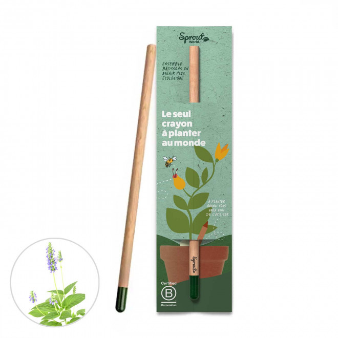 CRAYON GRAINES PERSONNALISÉ CARTONNETTE 'POUSS' - chia