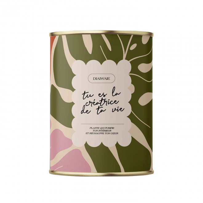 PLANTE EN POT PERSONNALISABLE 'PURETE PETIT' - Tu es la créatrice de ta vie