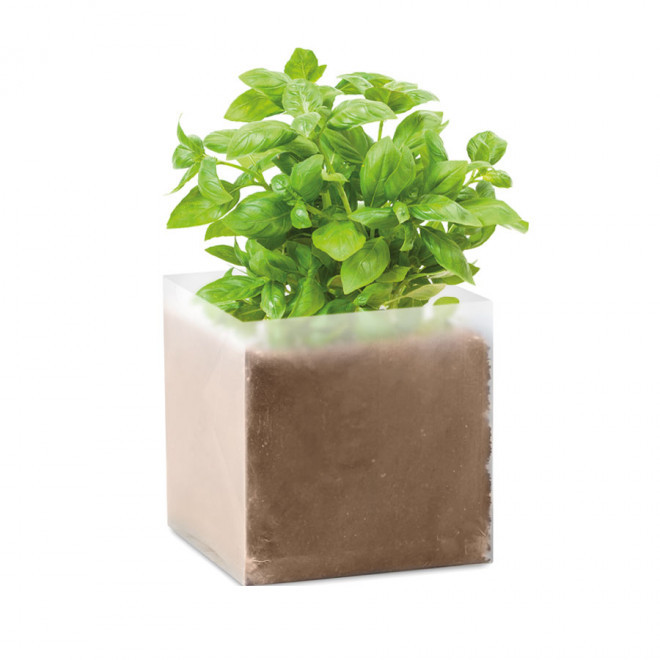 KIT DE PLANTATION PERSONNALISABLE EN SACHET DÉPLIABLE 'MUNDA' - basilic
