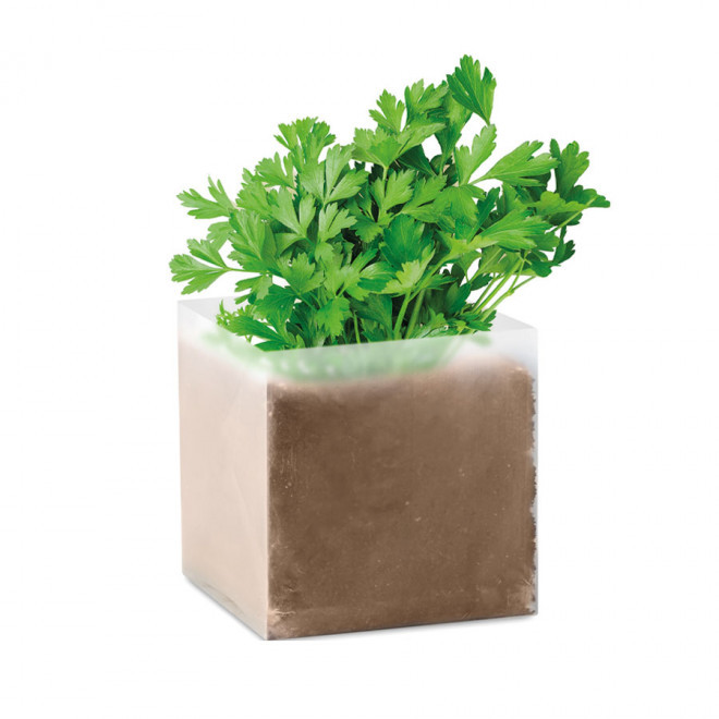 KIT DE PLANTATION PERSONNALISABLE EN SACHET DÉPLIABLE 'MUNDA' - persil