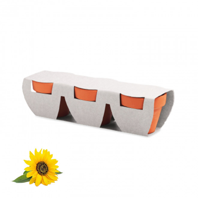 KIT DE PLANTATION PERSONNALISABLE 'POPPY QUADRI TRIO' - tournesol