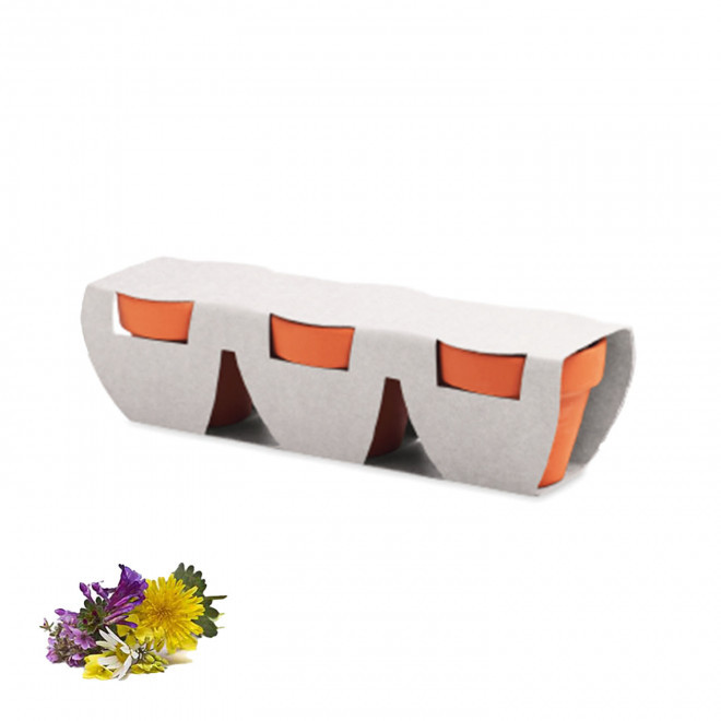 KIT DE PLANTATION PERSONNALISABLE 'POPPY QUADRI TRIO' - mélange de fleurs sauvages