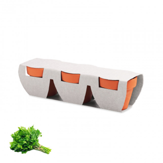 KIT DE PLANTATION PERSONNALISABLE 'POPPY QUADRI TRIO' - persil