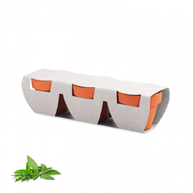 KIT DE PLANTATION PERSONNALISABLE 'POPPY QUADRI TRIO' - mélange d'herbes aromatiques
