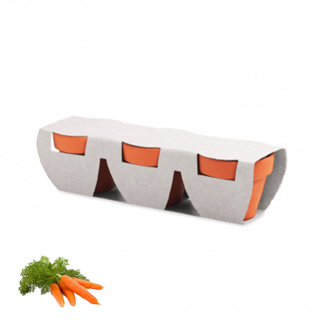 KIT DE PLANTATION PERSONNALISABLE 'POPPY QUADRI TRIO' - carottes