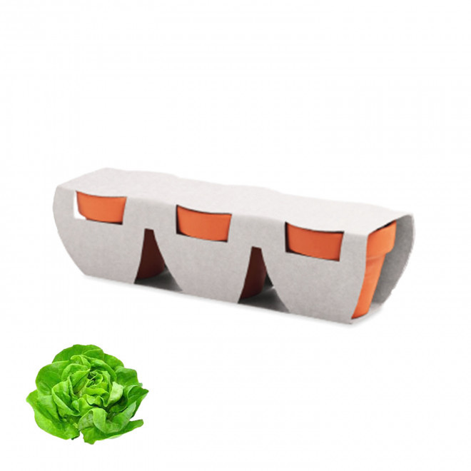 KIT DE PLANTATION PERSONNALISABLE 'POPPY QUADRI TRIO' - salades