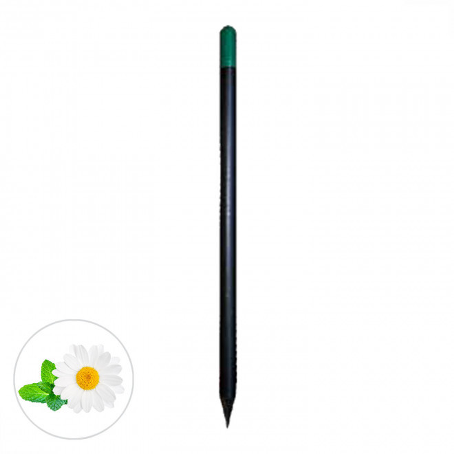 CRAYON A GRAINES PERSONNALISABLE 'SID BLACK' - camomille