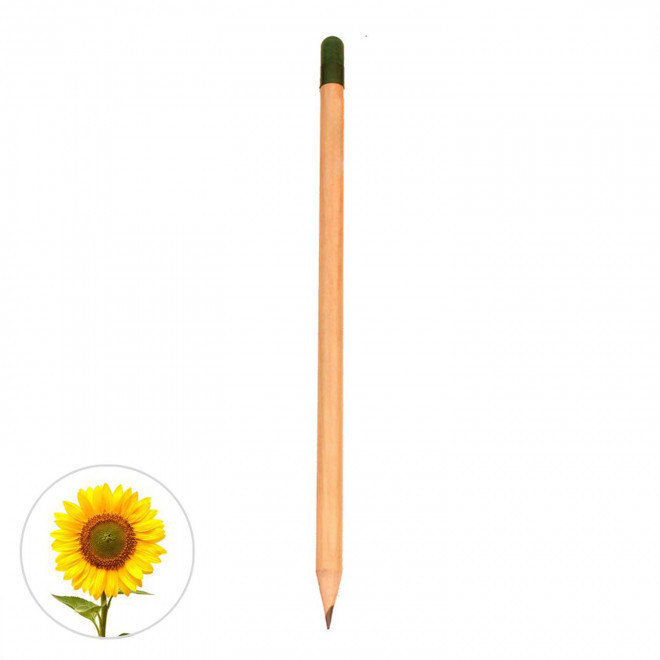 CRAYON A GRAINES PERSONNALISABLE 'SID' - tournesol