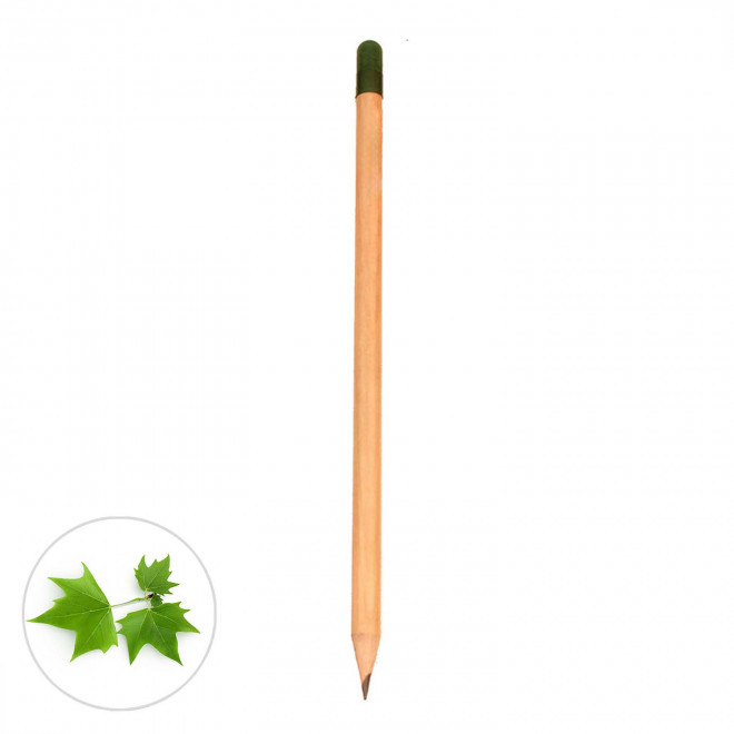 CRAYON A GRAINES PERSONNALISABLE 'SID' - platane