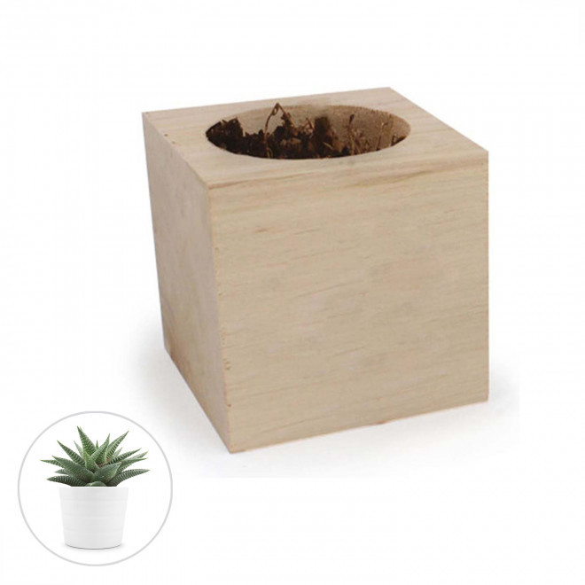 CUBE EN BOIS PUBLICITAIRE AVEC PLANTE OU ARBRE 'HARWOR' - Haworthia Limifolia