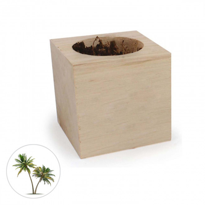 CUBE EN BOIS PUBLICITAIRE AVEC PLANTE OU ARBRE 'HARWOR' - palmier